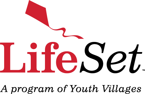 LifeSetLogo_2C_NO-YV LifeSetLogo_2C_NO-YV