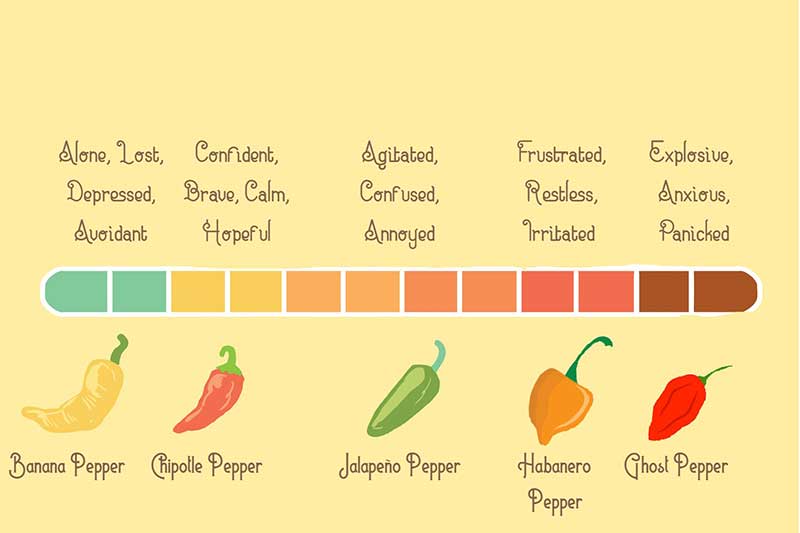 Emotional-Spicy-Scale emotional spicy pepper graphic