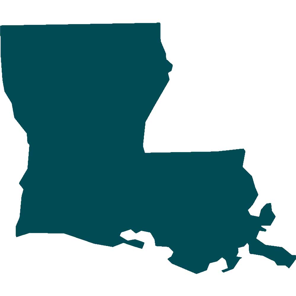 Louisiana state of Louisiana graphic