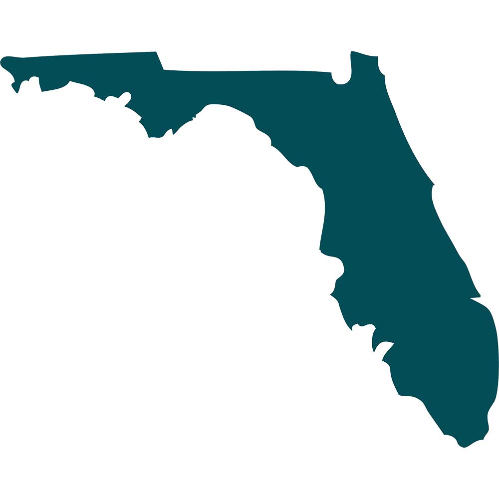 florida state of Florida graphic