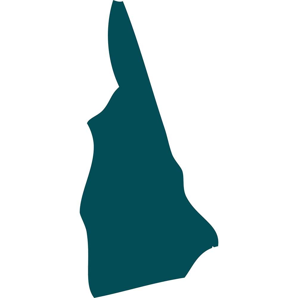 newhampshire state of New Hampshire graphic