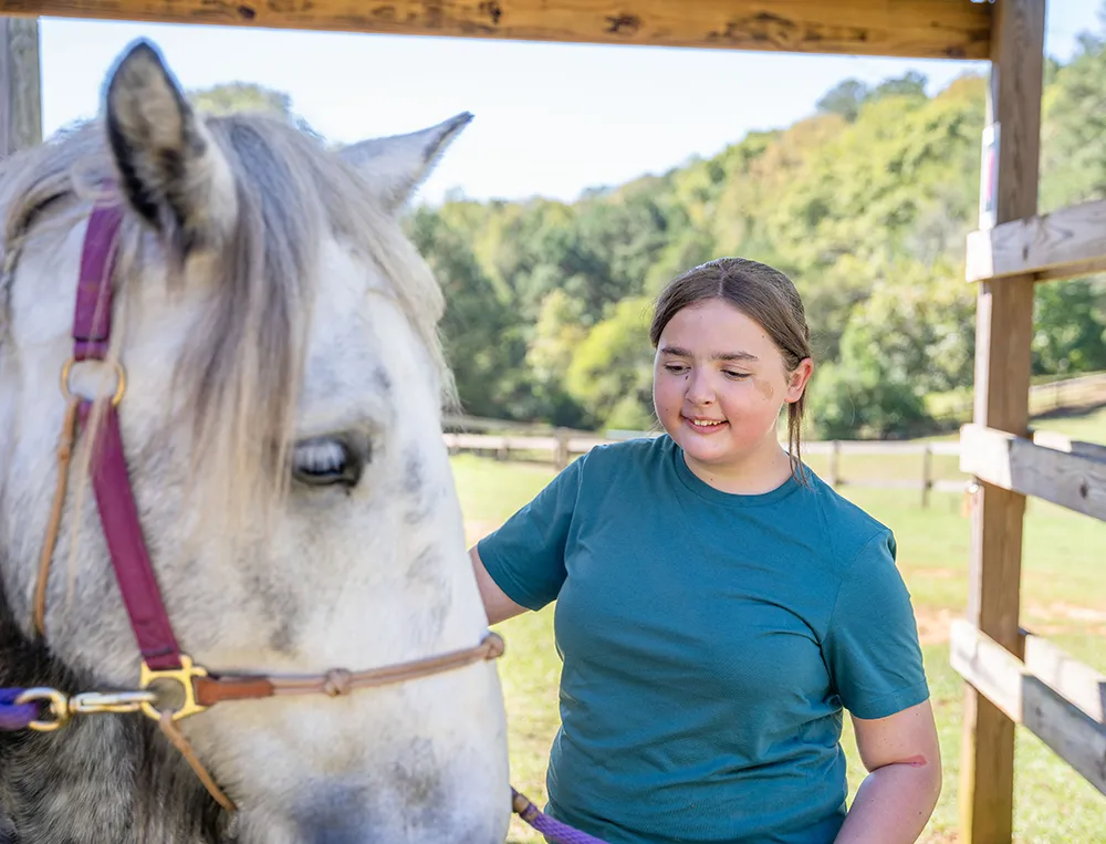 Inner_Harbour_equine_therapy